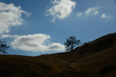 October 2016 - Pumpkin Festival